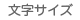 文字サイズ